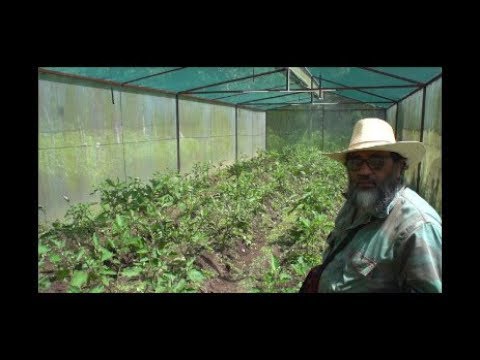 ¿Qué es la agroecología?