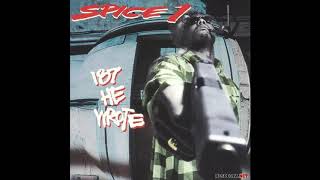 Spice 1 Smoke em Like a Blunt