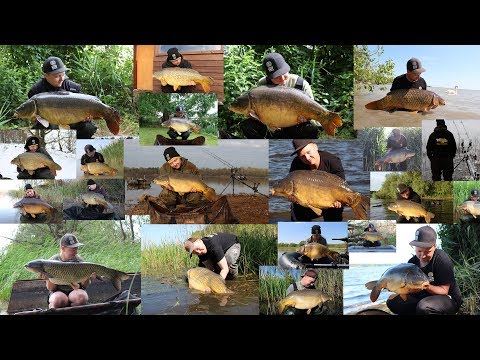 SBS Minuten – Carp Compilation (Tamás Fehér)