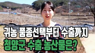 농부 작목선택, 농산물수출 알면좋은 정보 !!