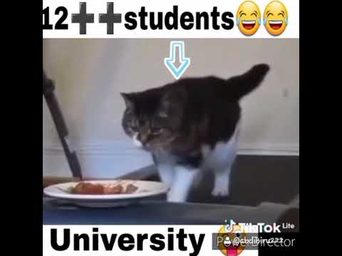 #Grade12  #University  #Astu