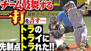 【虎の逆襲はじまる】松本晴『トラのトライに先制点トラれた!! チームを鼓舞する2点タイムリー!!』