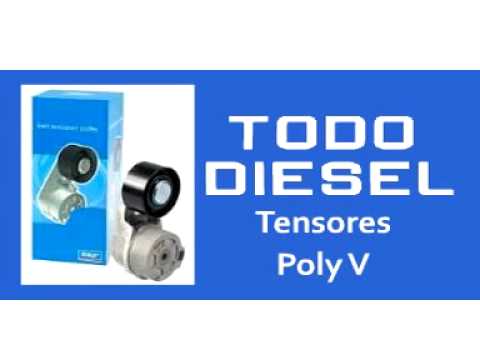 Megavision : Cliente Todo Diesel