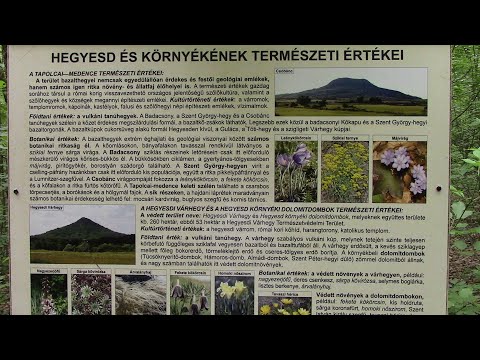 Pillanatképek Hegyesd 1.