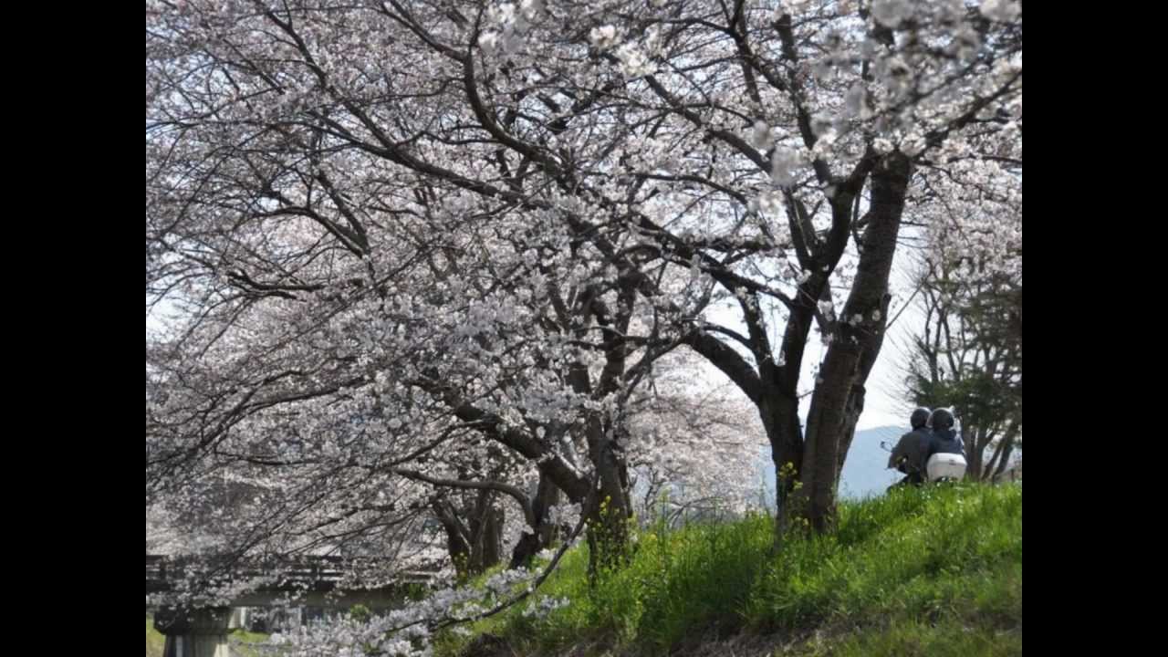 【滝廉太郎】　花
