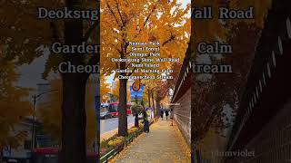 Thumbnail for Autumn Foliage Hunting Around Seoul Korea