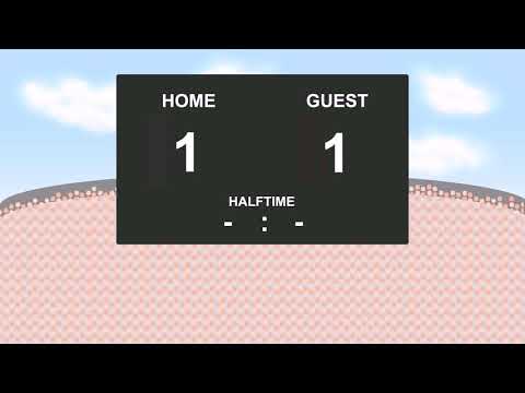 14.09.2017: Hoffenheim - Braga (1 - 2)