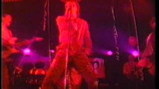 Dave Pratt and The Sex Machine Band Live