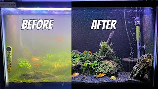 Cleaning a Dirty Aquarium - Fish Tank Maintenance