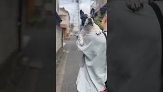 たまには夫婦でデートする為に、フレブルが頑張ってくれました🥰