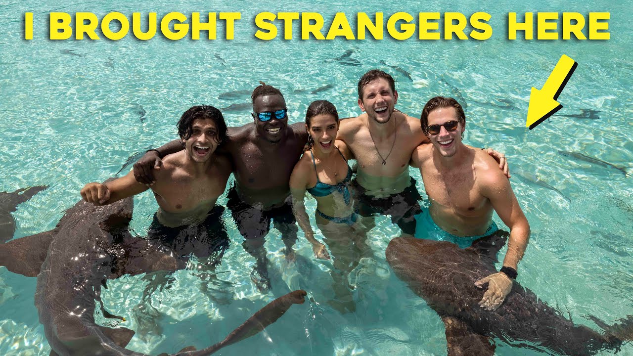 I took STRANGERS on a DREAM TRIP.