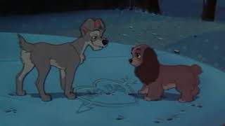 My Disney Music Videos: I Only Have Eyes for My Lady and the Tramp