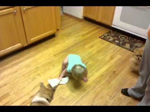 Annabell Cleaning.3gp