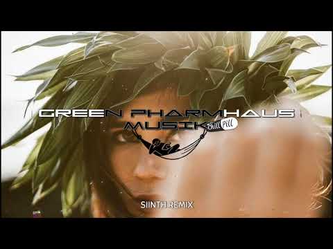 Said The Sky - All I Got (SIINTH CHILL MIXX) 2021