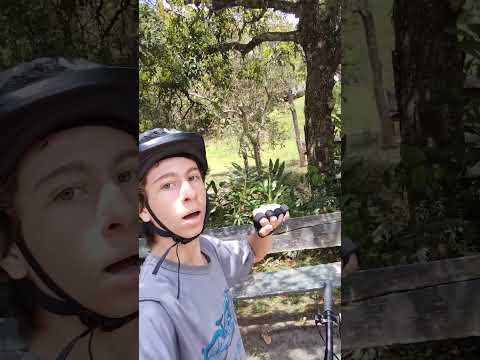 indo na serra de cachoeira de Macacu RJ  ( parte 4)