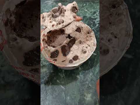 Malai Kulfi #shorts (Thand ke Maosam Me Thande Thande Malai Kulfi ka Maza Lejie 😂😂)