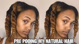 Pre Pooing My Natural Hair For The First Time Ever | Did It Work?