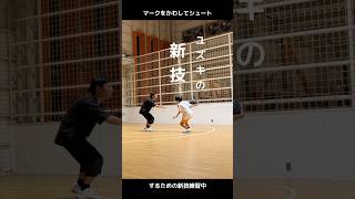 新技