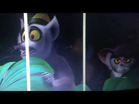 The tiger king part 19 Diego returns/Julian and tantors distraction