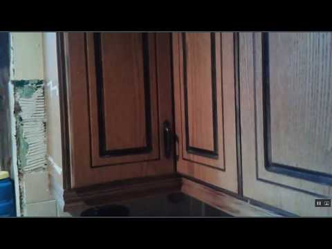 My Cat Hiding in My Kitchen Cupboards