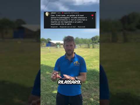 Cane che salta e morde? Guarda qui