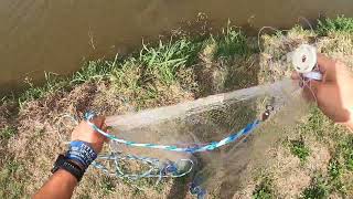 Throwing nets for Shad- More than expected