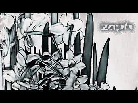 h jeunecrack x 8ruki type beat - narcisses