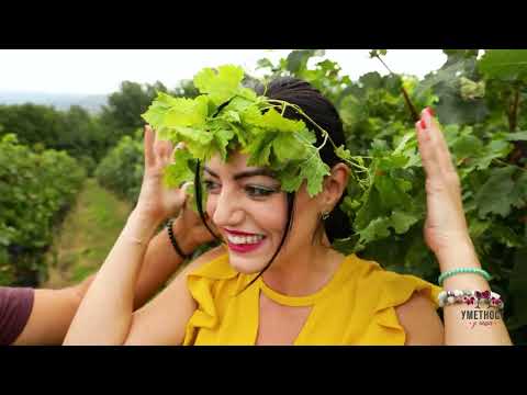 Umetnost u čaši ep. 164 27.12.2022. Novogodišnji specijal, I deo