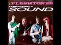 The Fleshtones - Accelerated Emotion