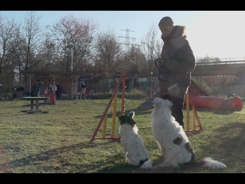 TIDE TV - Hafenhunde - Hamburg immer anders!