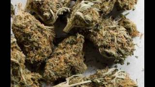 DEAD FLOWERS - FREE THE WEED