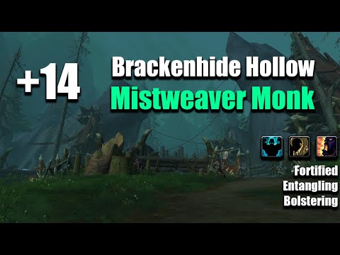 +14 Brackenhide Hollow | Mistweaver Monk POV | Dragonflight Season 2
