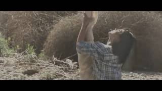 The Chain - Ingrid Michaelson | Selkie Hom - Aerial Hammock Music Video de Erin Brown