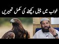 Khwab Mein Cheel Dekhna Khwab Mein Cheel Ka Hamla Karna Eagle In Dream Meaning Khwab Ki Tabeer