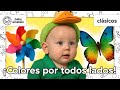 Maravilloso Mundo De Colores Clásicos De Baby Einstein BabyEinsteinenEspanol