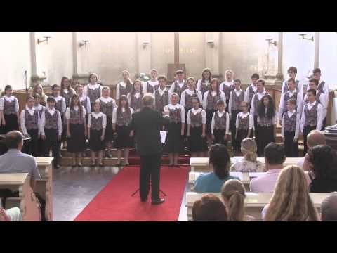 Choros 2015 - záznam celého koncertu 6.6.2015 v kostele u Salvátora