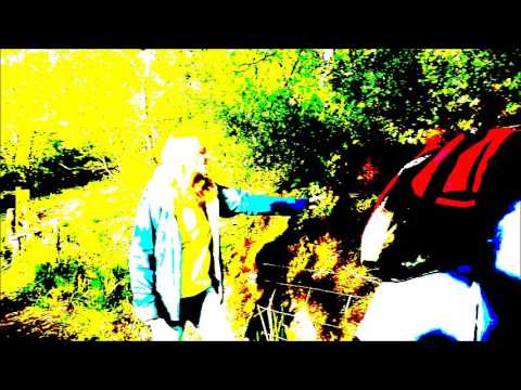 Domspiral: Event Horizon (Forest Mix)