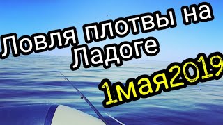 Ссылка