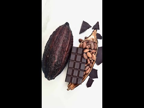 How to Make Chocolate 🍫 - Bean to Bar #shorts