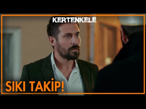 Ziya hoca takip edildiğini anlıyor!- Kertenkele