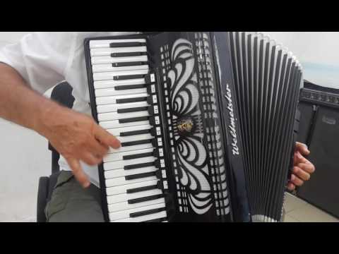 Weltmeister Caprice 120 Bass LMMH Accordion Akkordeon Fisarmonica Black + Case (2)