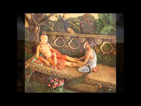 SB  3.26.34 -  Mind/Brain Research