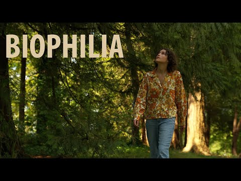 Biophilia │ Letting Nature Encroach on Us