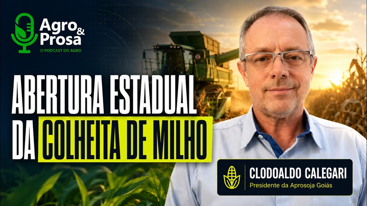 Abertura estadual da colheita do milho em Goiás
