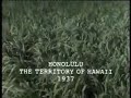 Blood And Orchids 1 Translated By VJ Mark