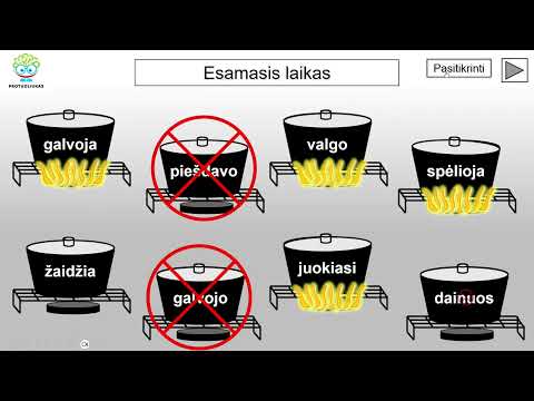 Veiksmažodžių laikai (Nr. 264)