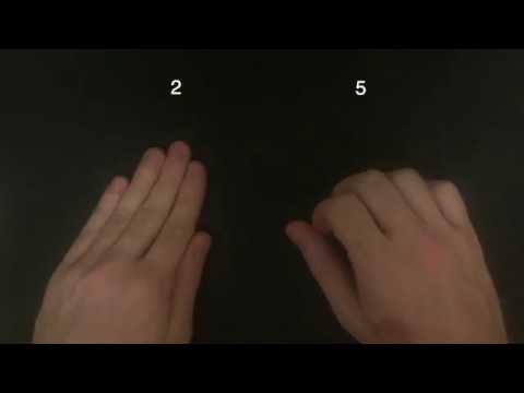 Polirritmia (Polyrhythm)