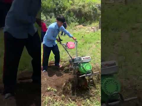 Agriculture Technical Stream students preparing a rice nursery using a hand trac