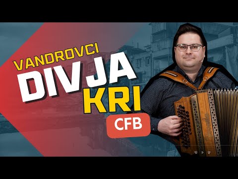 Klemen Rošer igra skladbo Divja kri, original je od Vandrovcev ...