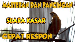 Download lagu CEPAT NYAUTNYA, PANCINGAN ANIS MERAH SUARA KASAR mp3 Download lagu CEPAT NYAUTNYA, PANCINGAN ANIS MERAH SUARA KASAR mp3